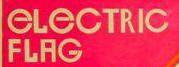logo Electric Flag